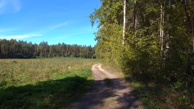 ToJestNiepojete - Jeden z ostatnich takich dni w tym roku, szkoda byłoby zmarnować. W...