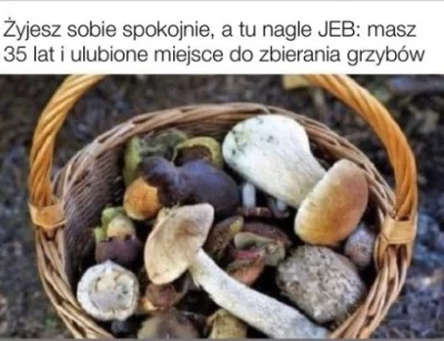 chosenon3 - #zyciepotrzydziestce #heheszki #humorobrazkowy #truestory