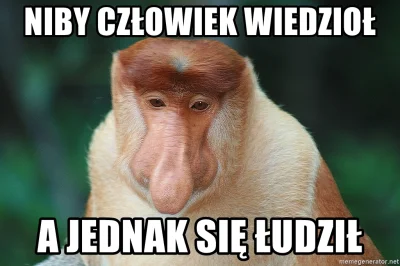 nO-C34 - Jednak to co mówi księga wykopkowego inwestora to prawda. Zwiedziony zapowie...