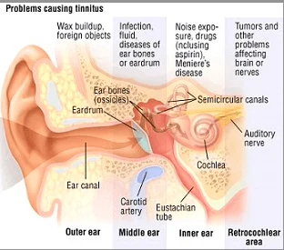 JoelSavage - NEW EFFECTIVE TREATMENT FOR TINNITUS
Tinnitus is associated with surpri...