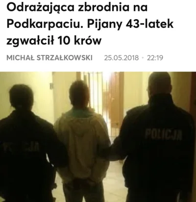 d.....e - @takJakLubimy: ze zoofilskiego stocka