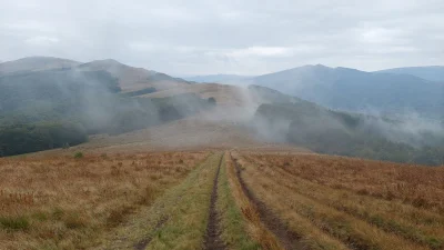 maniac777 - "A może rzucić wszystko i pojechać w odludne, dzikie #bieszczady?" - pomy...