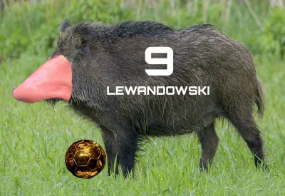 cnka - Dajcie mu tą złota piłke #mecz #lewandowski #pilkanozna