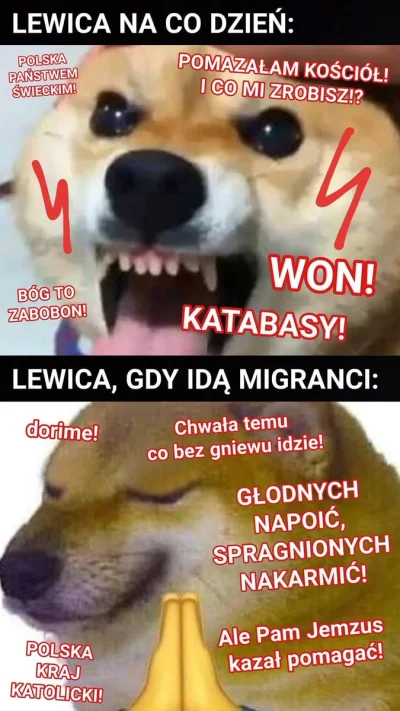 szpongiel - > @27er: lewica kiedy widzi uchodźców: dorime!
@pwone: xD