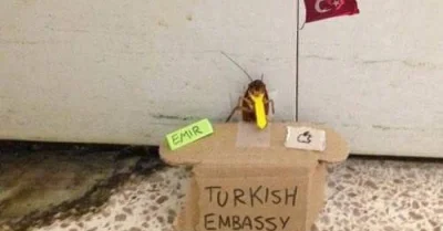 siadaj_Kulson - czy ambasada turecka odniosła się do problemów przedstawionych w arty...