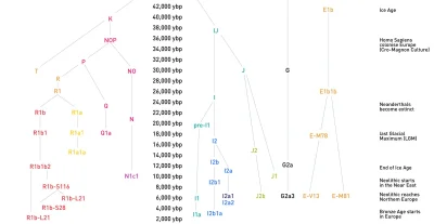 JoeShmoe - Haplogrupy chromosomalne na osi czasu. Mapa ogólna, brak wszystkich mutacj...