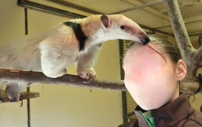 ZOOlogiczna - Hej, kilka osób pytało się mnie czemu nie piszę nowych postów, więc jak...