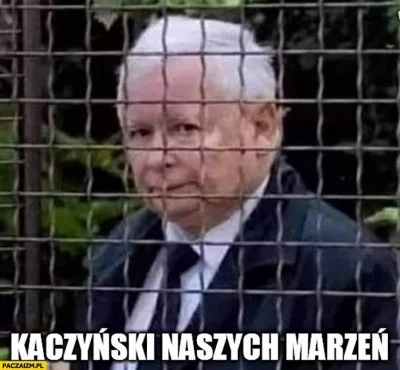 ted-kaczynsky