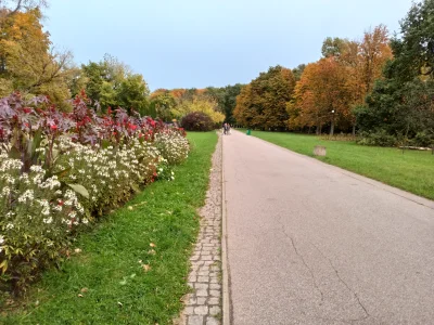 Chodtok - Jak nie wieje ten jepany wiatr to jest całkiem fajnie i comfy

#gownowpis...