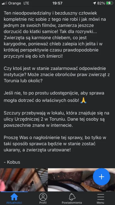 madzja - .