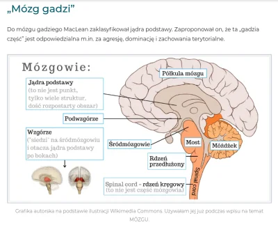 milymirek - > ale ty wiesz najlepiej kto ma gadzi mózg (nie ty)

@ForestTurtles: Ka...