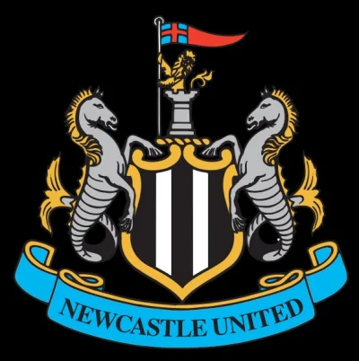 rybazryzem85 - Ciekawe czy był też poruszony temat herbu Newcastle Utd?.
Ja na miejsc...