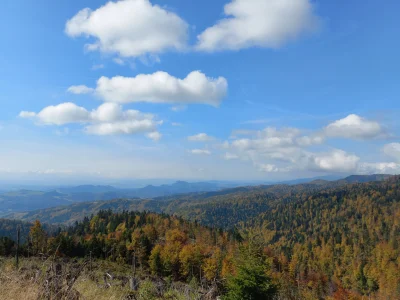 WR9100 - 25/28 – Radziejowa 1266 m n.p.m. (Beskid Sądecki)
Data: 7.10.2021
Trasa: M...