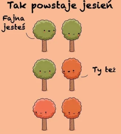 BozenaMal - A więc to tak xD 
#ciekawostki #heheszki #jesien