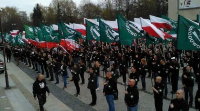 N.....k - > W Warszawie planowana jest również kontrmanifestacja organizowana przez ś...