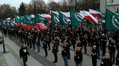 N.....k - Na częście tacy jak on to jest popracie konfederacji czyli w sumie nie wiel...