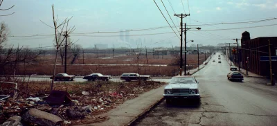 myrmekochoria - New Jersey, 1976. 

#starszezwoje - tag ze starymi grafikami, miedz...