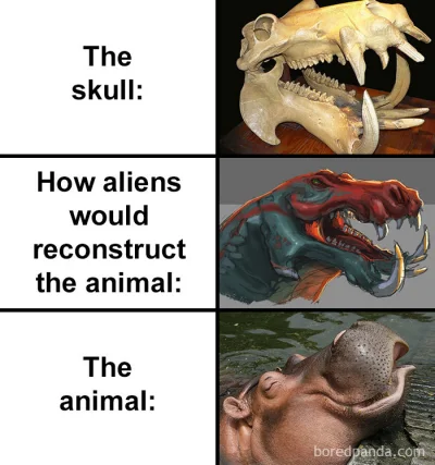 srgs - @srgs: 
https://www.boredpanda.com/skull-how-aliens-would-reconstruct-animal-...