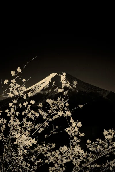 Borealny - Paul Cupido
#fotografia #natura #jesien #japonia #gory #earthporn #estetyc...
