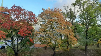 Bianconero - Jesienny widok z mojego okna :)
#estetyczneobrazki #mojezdjecie #sygnali...