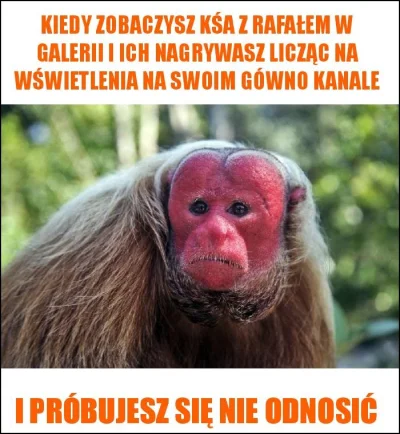 jajecznapasta - Chciałbym tylko wszystkim powiedzieć, że sram na meksykana.
#kononowi...