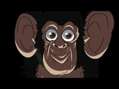Kosciany - #monkey #malpka