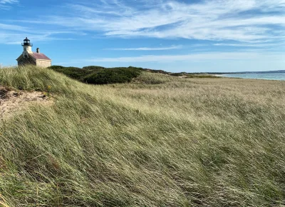 R2D2zSosnowca - BLOCK ISLAND cz. 2
#r2d2zwiedza #rhodeisland #natura #usa #fotografia...