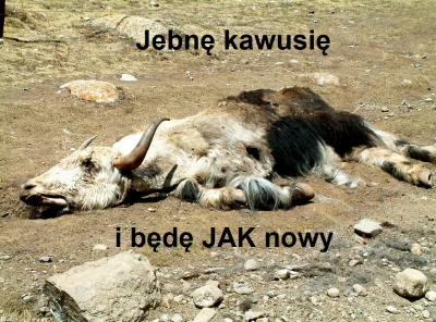 achillesgrek - Ale jak...(╯°□°）╯︵ ┻━┻

żródło: https://www.hejto.pl/wpis/z-powodu-n...