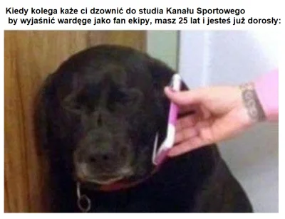 s.....y - Poprzedni dzwoniący be like 
#kanalsportowy #wardega #stanowski