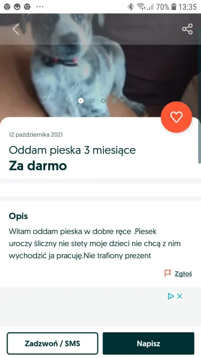 Jankino - #bekazpodludzi no i c--j no i część wszystko wyjaśnione Nie ma co się przej...