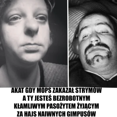 Beczka2019 - Nomanie dupy nam pękną z zazdrości jak Wam mops i skarbówka zrobi sponta...