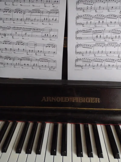 wyazz - jakie akordy wariacie? 
#pianino #muzyka
