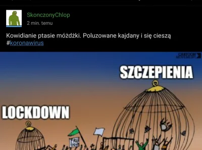 gumowy_ogur - Hej @Moderacja wyjaśnijcie proszę dlaczego nie banujecie takich zielony...