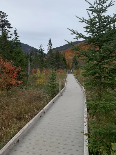 R2D2zSosnowca - @R2D2zSosnowca: Long Trail Broadwalk