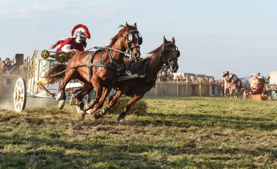 IMPERIUMROMANUM - W starożytności niezwykle doceniano umiejętności koni

Pliniusz S...