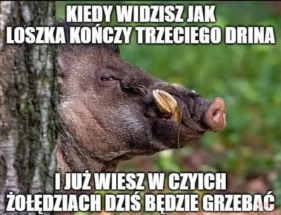 grzdyka - #podrywajzwykopem #wygryw