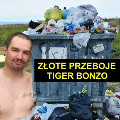 ZielonyGandalf - Tiger ogłośił konkurs na okładkę nowej płyty. Akat tak na szybko zro...