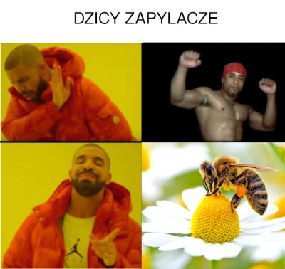 l.....v - wykop za samą domenę