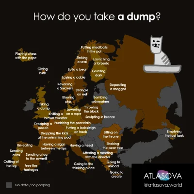 A.....1 - Alternatywne określenia defekacji używane w różnych krajach.
#mapy #mappor...