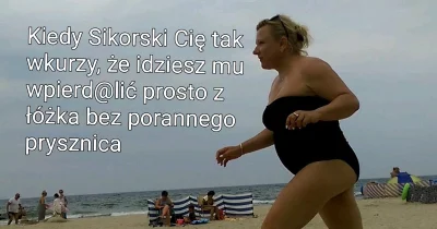 CipakKrulRzycia - #humorobrazkowy #heheszki 
#sikorski