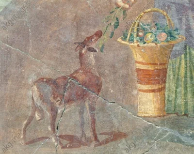 IMPERIUMROMANUM - Fresk prezentujący kozę i kosz owoców

Fresk prezentujący kozę i ...