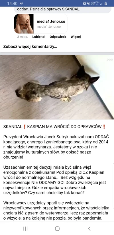 Hindarsfjall - Swiatrolnika lubi bronic zwyroli. Tak dla was wyglada zdrowy pies? A g...