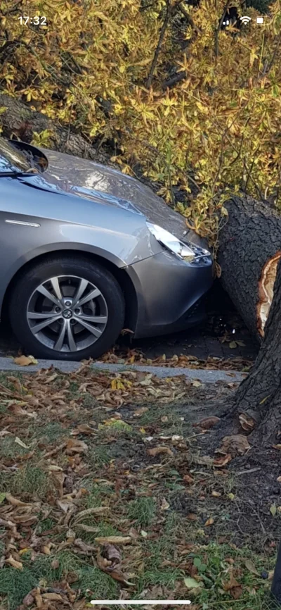 noitakto - @Hunter31: Teraz wygląda trochę jak porsche.