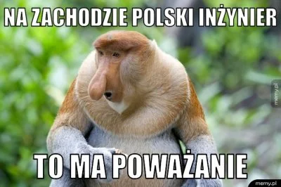yolantarutowicz - Przestańcie wykopki szkalować polskich inżynierów i lekarzy.