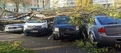 Ksemidesdelos - Jak tam Siedlce trzymacie się? wieje?

U mnie na podwórku śmietniki...