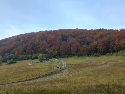 WR9100 - Polana pod szczytem Cigelka, nieopodal wsi o tej samej nazwie: