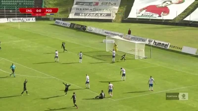 WHlTE - Zagłębie Sosnowiec 1:0 Podbeskidzie Bielsko-Biała - Szymon Sobczak
#zaglebie...