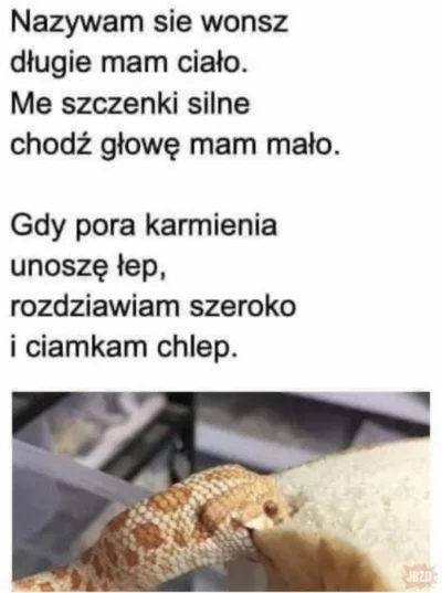 hellyea - Ciamk, ciamk, ciamk (｡◕‿‿◕｡) 

Jak będą plusy to codziennie wrzucam jeden m...