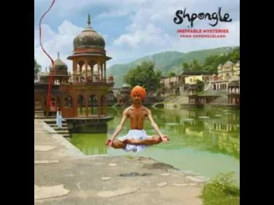 kartofel322 - Shpongle - Invisible Man in fluorescent suite

#muzyka #psybient #shpon...