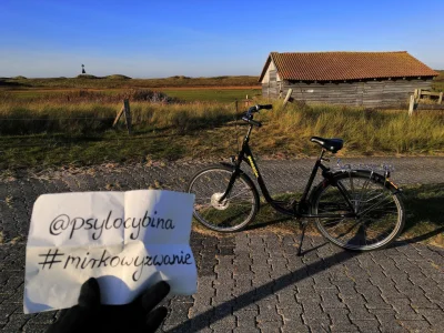 psylocybina - Dobry wieczór Mireczki, chciałabym zameldować wykonanie zadania na #mir...